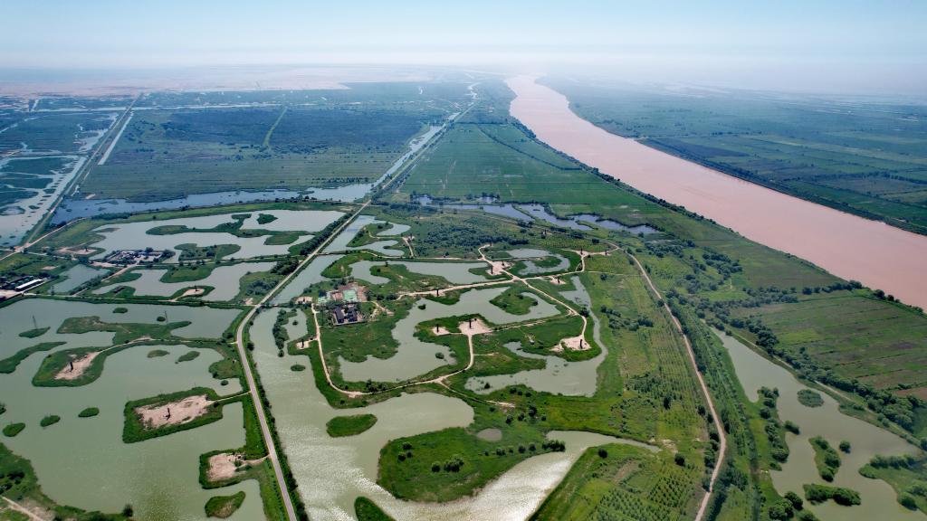 黄河三角洲的绿色变迁——黄河调水