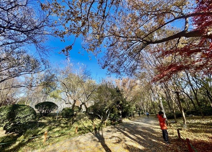 济南的冬天美翻了 泉城公园披上“花式冬装”