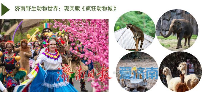 泉城“五一”热门打卡地发布,这个假期来济南!一站式将快乐拉满