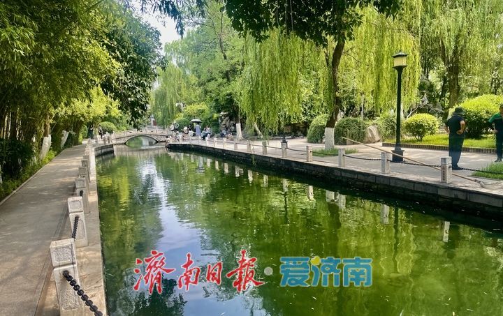 一年四季 泉在济南丨泉边夏日 戏水纳凉好景致