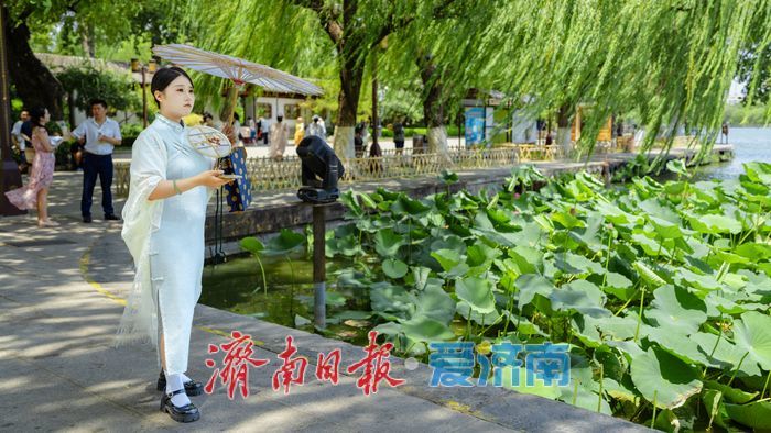 一年四季 泉在济南丨济南大明湖：夏日美景醉泉城 满眼画意纳清凉