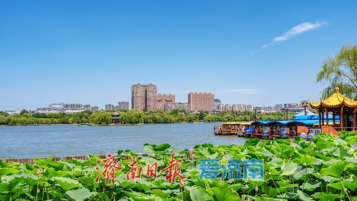 一年四季 泉在济南丨济南大明湖：夏日美景醉泉城 满眼画意纳清凉