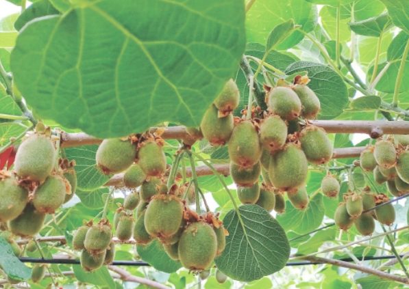 中秋+国庆双节buff 金秋来济南打开避世小众玩法