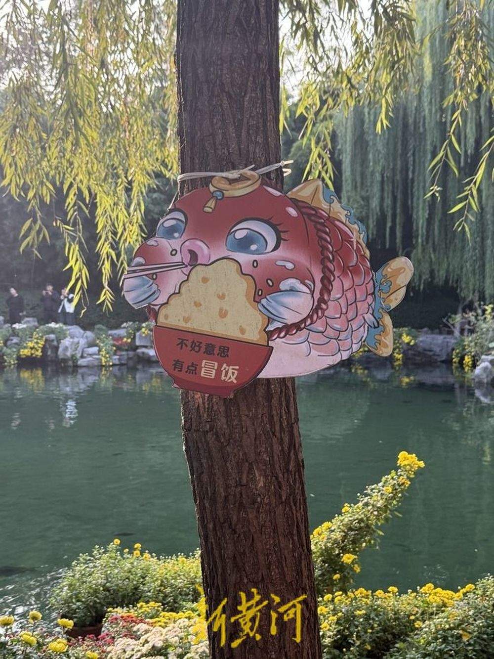 趵突泉“猪鲤”超重,景区工作人员友情提示“再喂就嘎了”