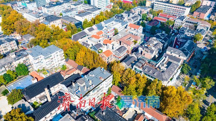 树影婆娑间,邂逅济南最温柔的秋天