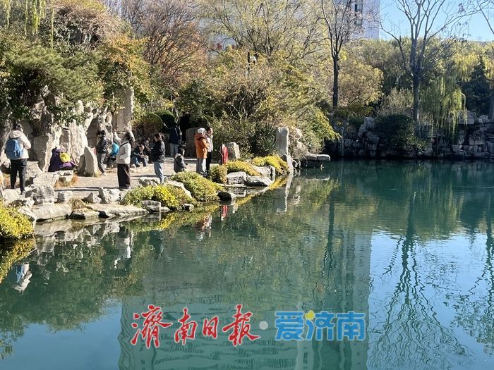 一年四季 泉在济南丨阳光洒满五龙潭 初冬景致引市民打卡休闲