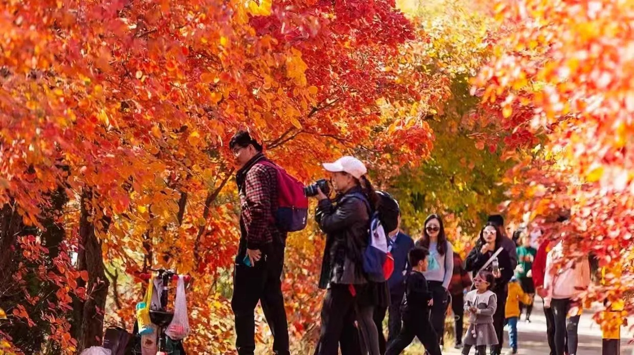 简篇-章丘:跨村联建“手拉手”,全域振兴“步步高”!