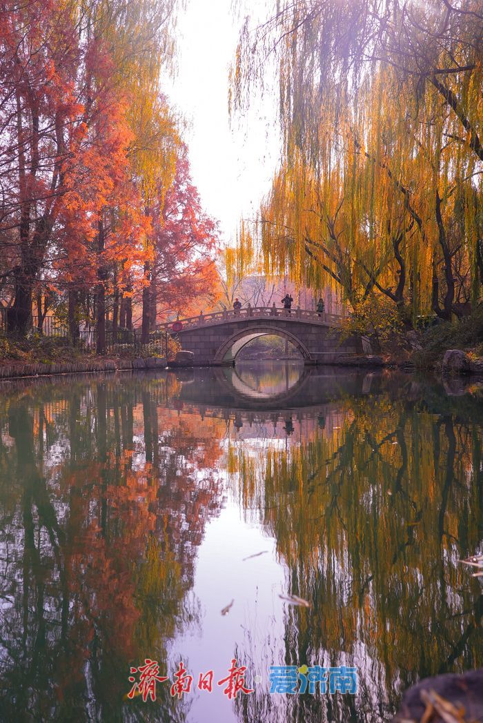 大明湖四象限机位 褚红杉林美到出圈