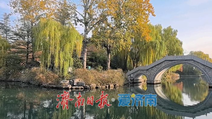一年四季 泉在济南丨大明湖秋冬“混搭”美景正当时