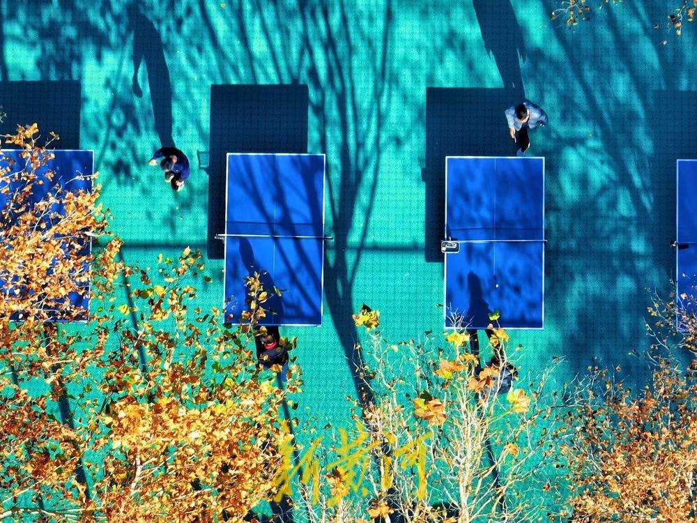 一年四季 泉在济南丨色彩斑斓 济南这个健身广场融进森林氧吧