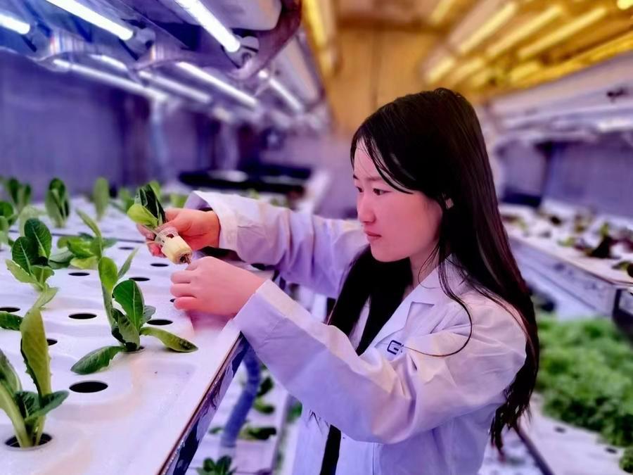 冬闲变“冬忙”，齐鲁田野跃动新生