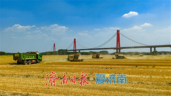 济南：乡兴潮涌 泉城沃野万象新-