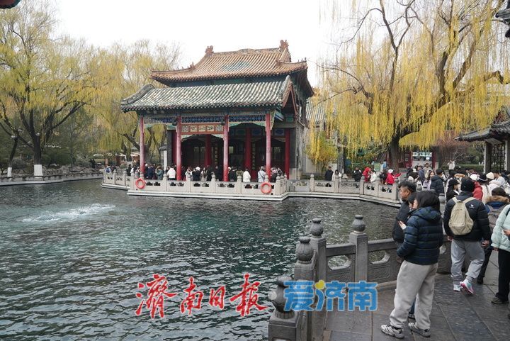 一年四季 泉在济南丨雨润泉城 趵突泉景色如画引客来