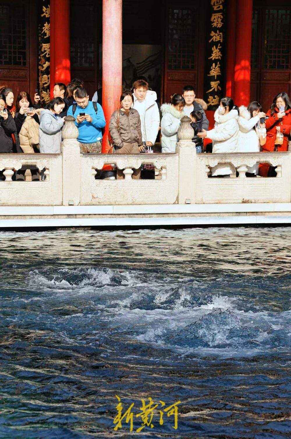 济南数九寒天暖如春 趵突腾空醉游人