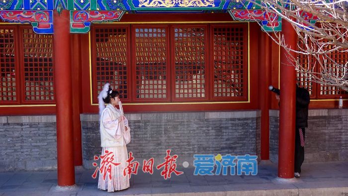 红墙金瓦映华裳！济南府学文庙上演冬日汉服打卡文化热潮