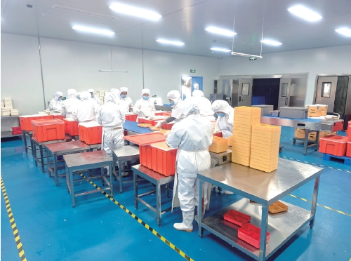 济南“冬闲”人不闲，寒冬沃野产业兴