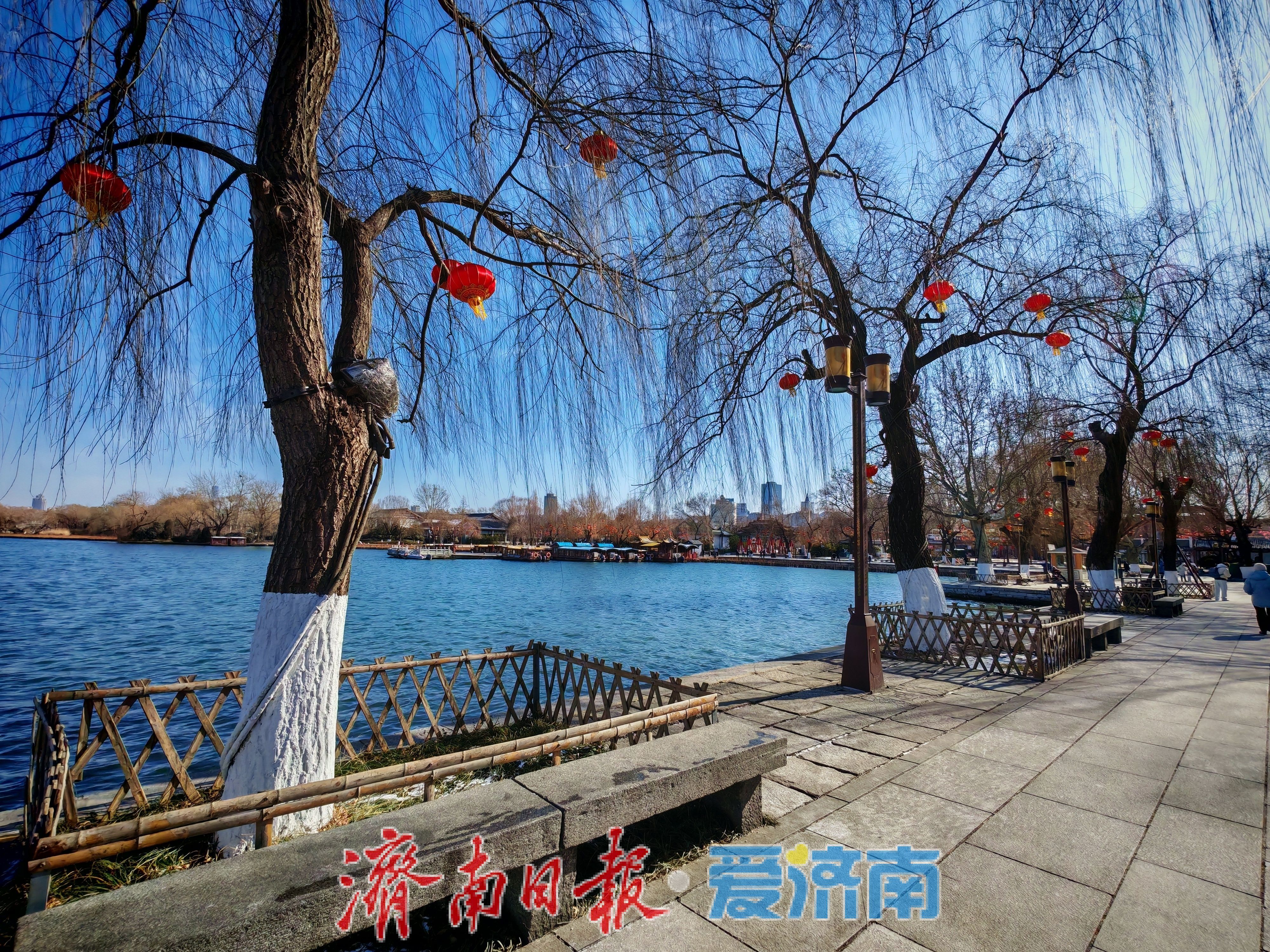 一年四季 泉在济南丨大明湖畔灯笼红 泉城迎春氛围渐浓