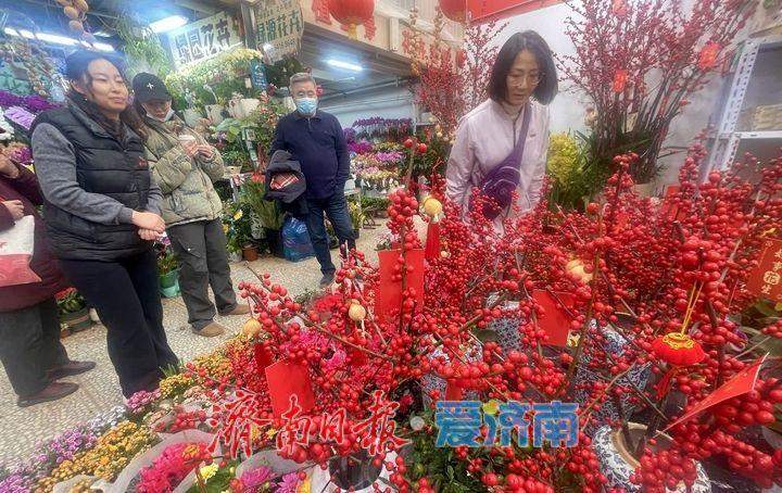 节前花香已满城 济南年宵花市场提前升温
