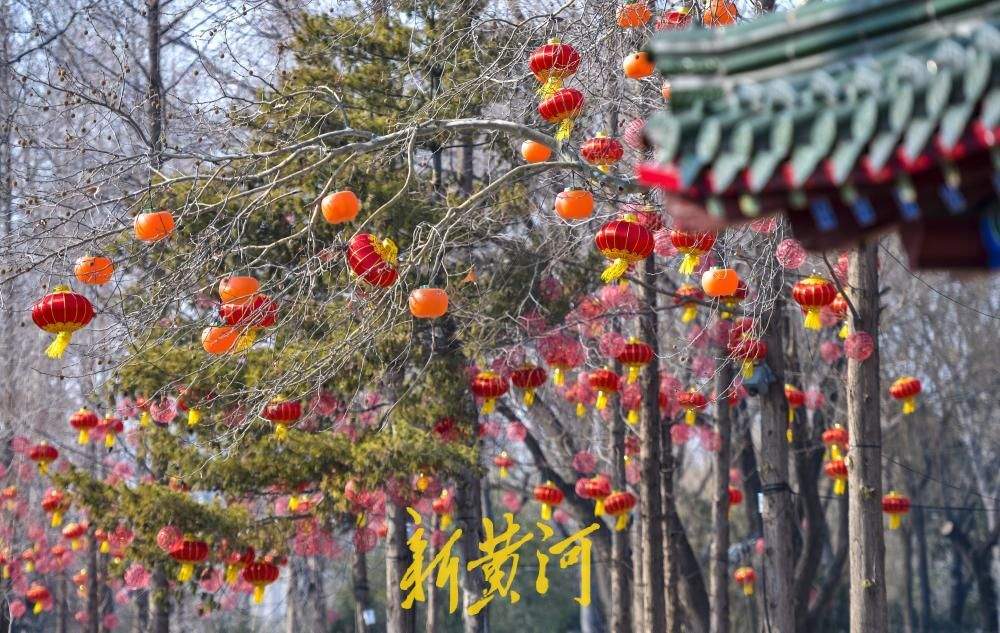 生态绿道披红装 泉城喜迎新春佳节