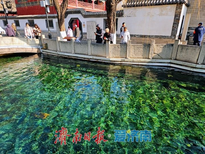 一年四季 泉在济南｜冬日暖阳下 游园正当时