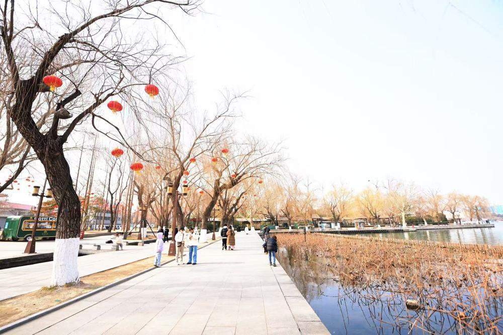 大红灯笼高高挂，济南大明湖畔春节氛围拉满