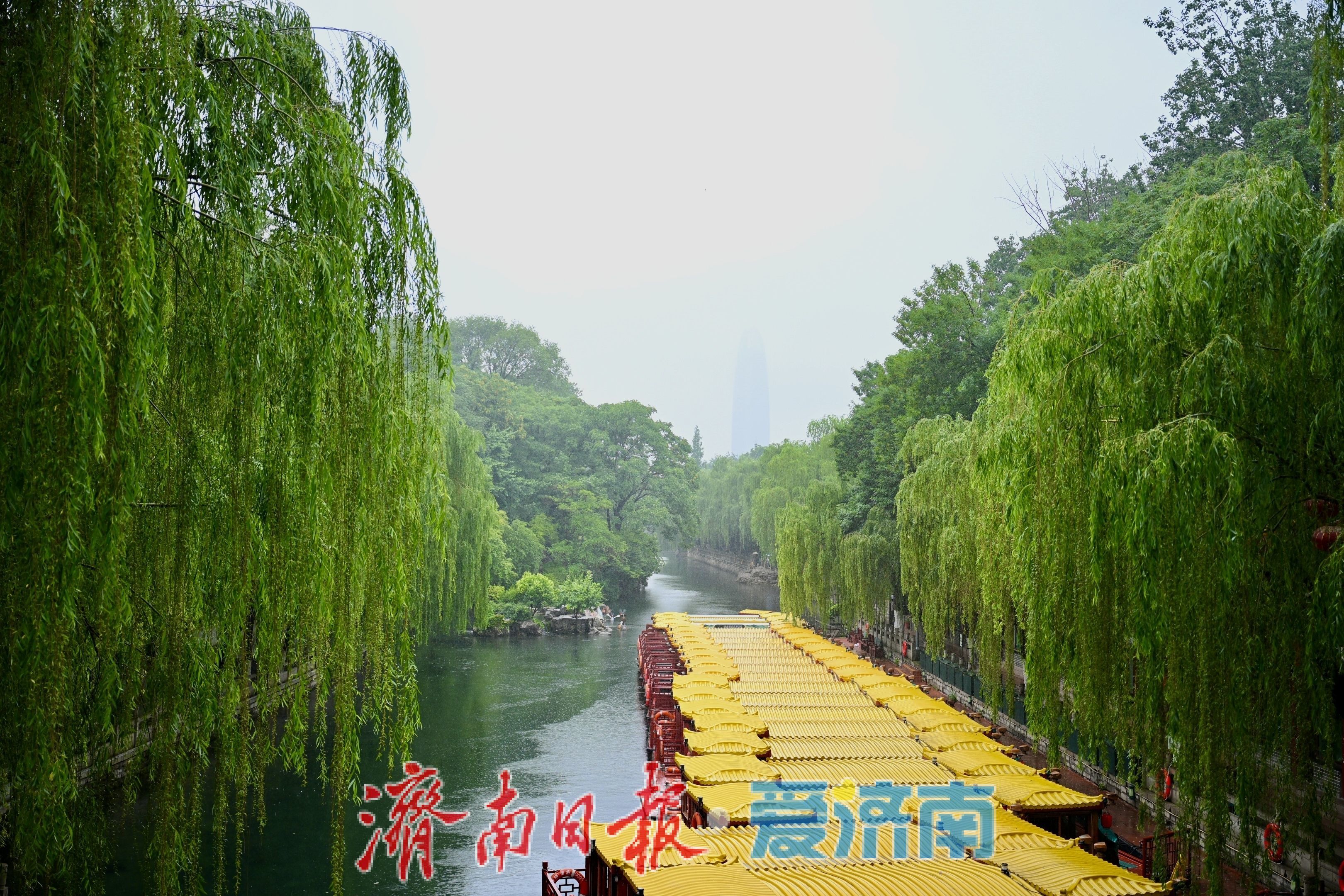 雨中观泉别样美！黑虎泉水位抬升，环城画廊如诗