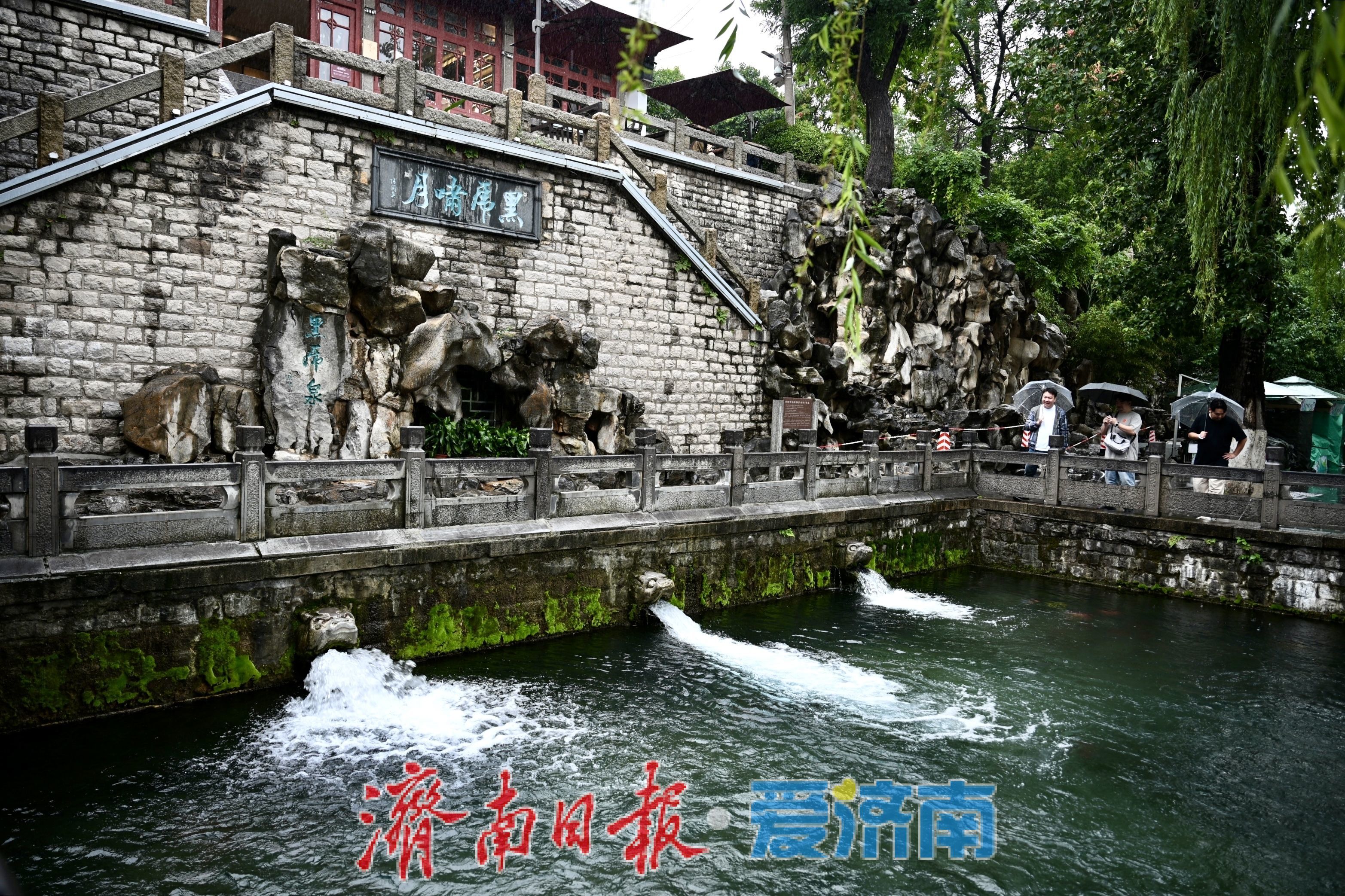 雨中观泉别样美！黑虎泉水位抬升，环城画廊如诗