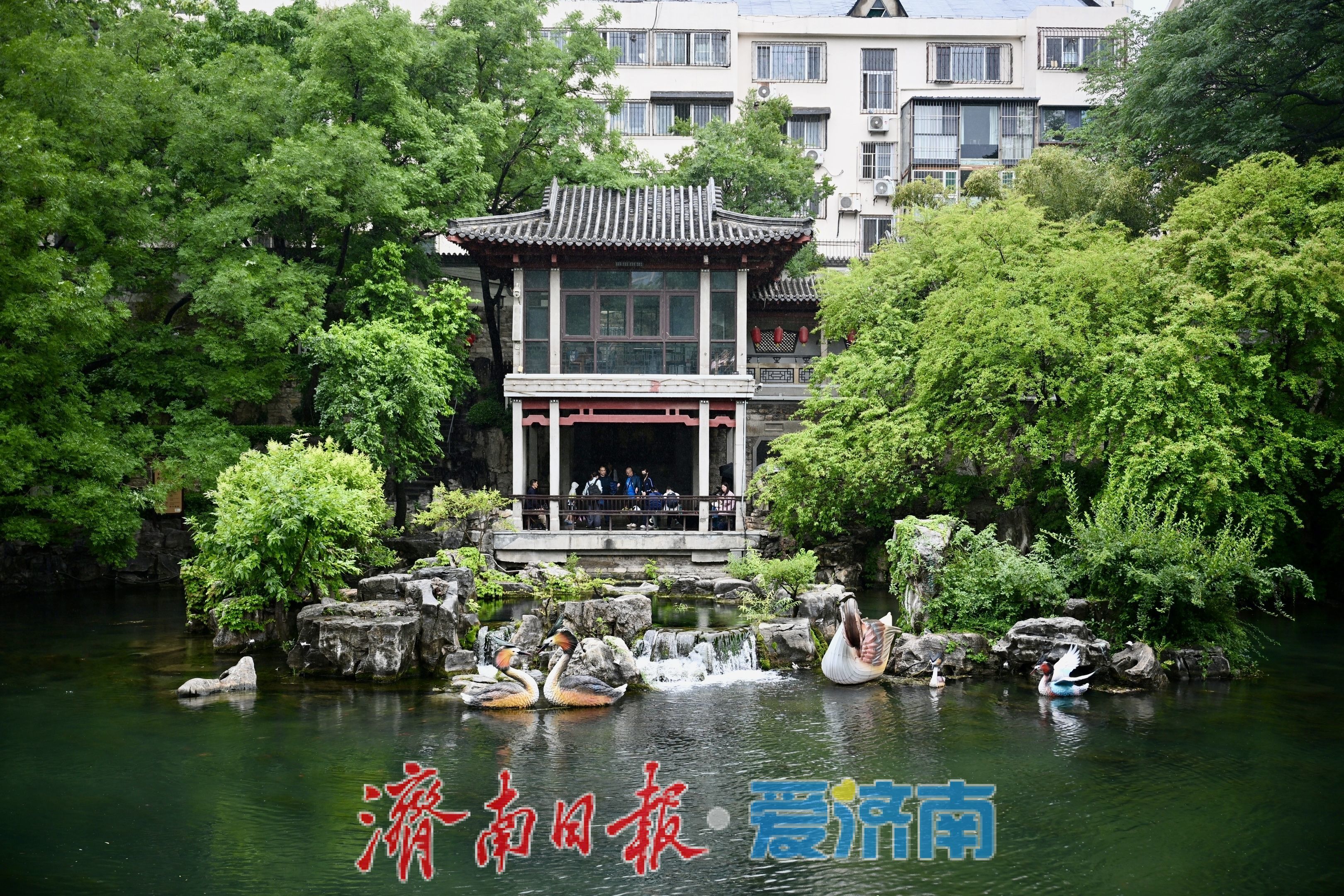 雨中观泉别样美！黑虎泉水位抬升，环城画廊如诗