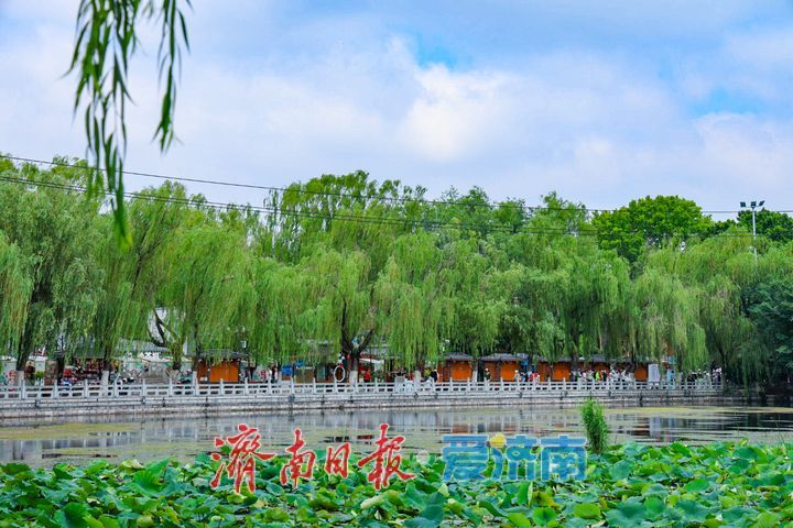 雨霁天晴换新颜 济南明府城邂逅初夏治愈美景