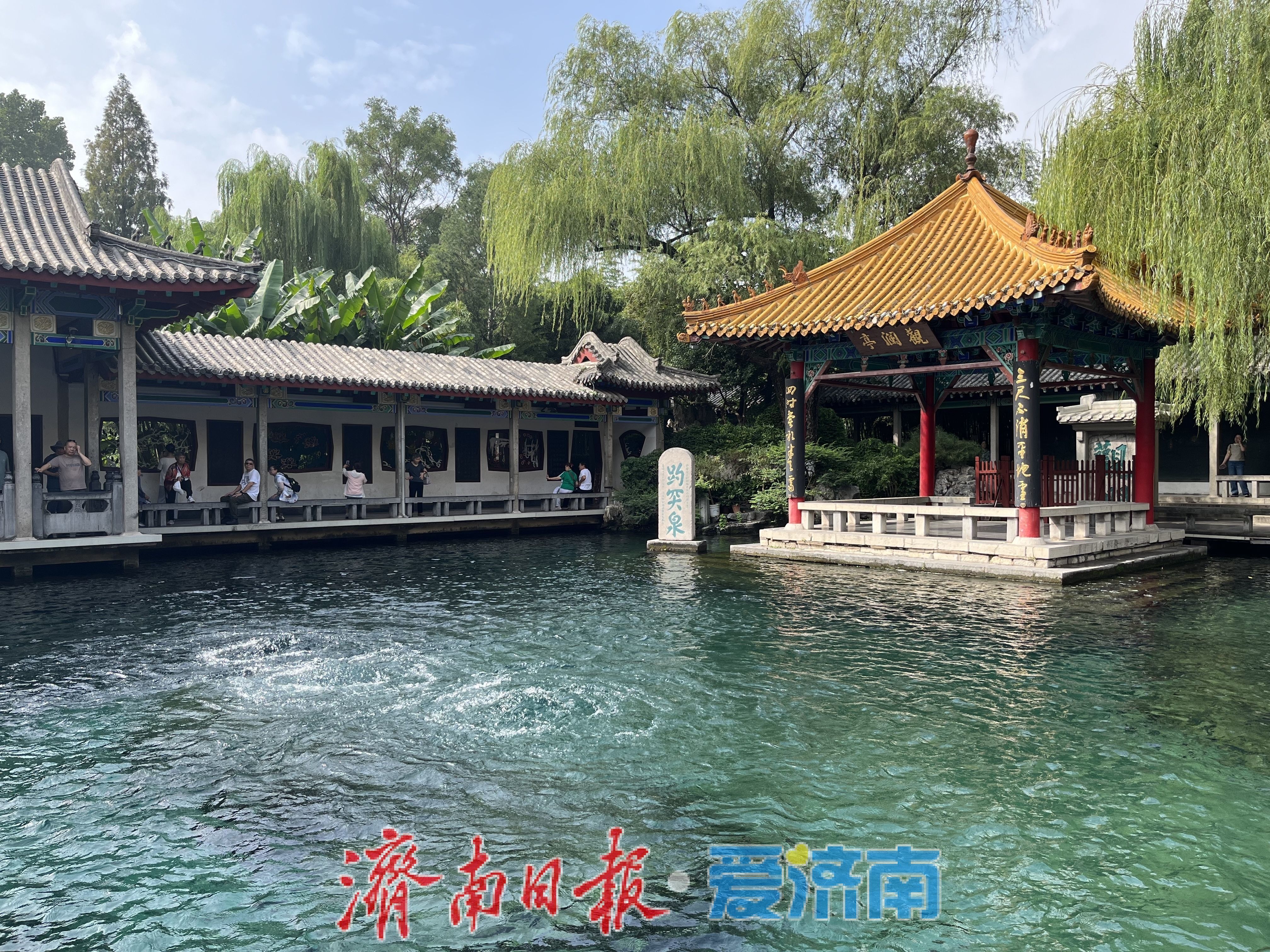 再涨7厘米!趵突泉水位二度攀升,创下近半月最大涨幅