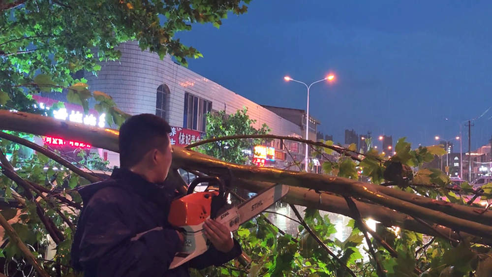 暴雨致树倒阻路，济南消防员救火归队途中紧急清障