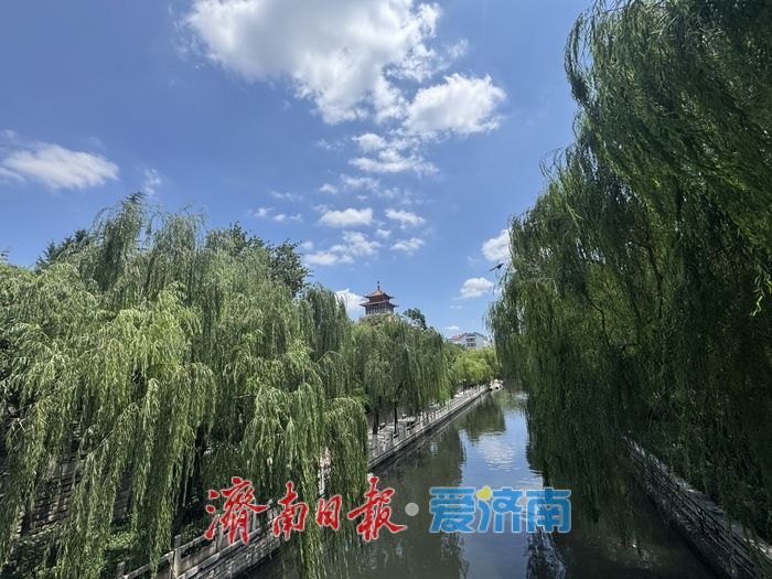 泛舟护城河畔 尽赏泉城夏日美景