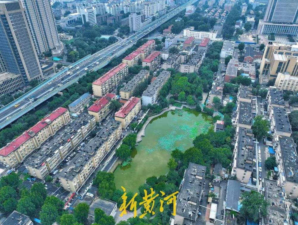 济南闹市藏幽境 一潭青绿醉盛夏