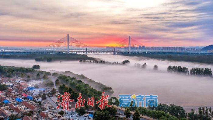 黄河济南段清晨现壮美平流雾，两岸宛若水墨长卷