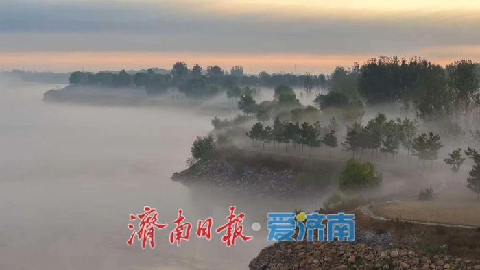 黄河济南段清晨现壮美平流雾，两岸宛若水墨长卷