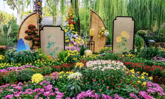 从观赏到体验：菊花雅集里的泉城秋味