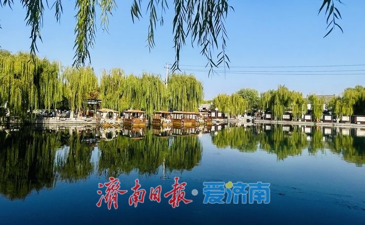一年四季 泉在济南丨雨洗百花洲，一池秋水收尽泉城